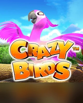Crazy Birds